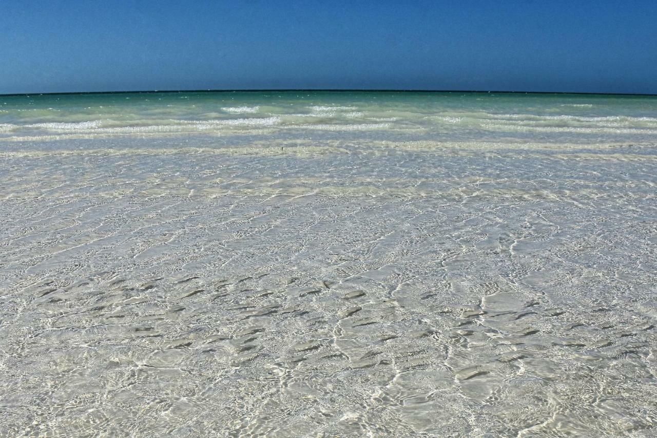 Moon Dreams Yum Balam Ξενοδοχείο Isla Holbox Εξωτερικό φωτογραφία